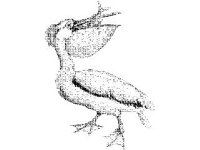 ANML0103.jpg