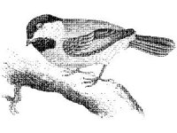 ANML0102.jpg