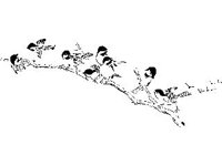 ANML0098.jpg
