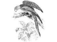 ANML0096.jpg