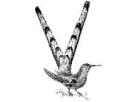 ANML0084.jpg