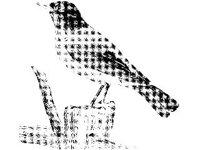 ANML0081.jpg