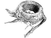 ANML0075.jpg
