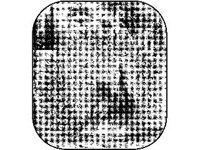 ANML0062.jpg