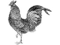 ANML0060.jpg