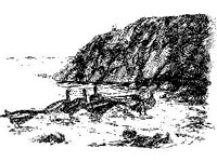 ANML0057.jpg