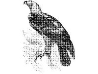 ANML0049.jpg