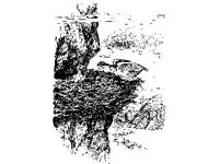 ANML0047.jpg