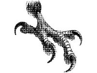 ANML0046.jpg