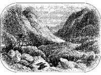 ANML0045.jpg