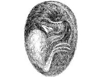 ANML0041.jpg
