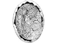 ANML0039.jpg