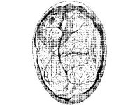 ANML0037.jpg