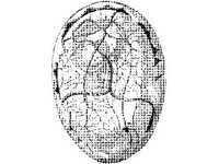 ANML0036.jpg