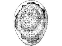 ANML0035.jpg