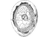 ANML0034.jpg