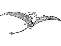 ANML0248.jpg