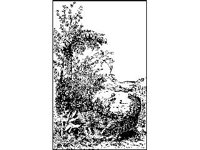 ANML0240.jpg
