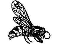 ANML0336.jpg