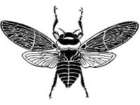 ANML0335.jpg