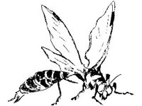 ANML0333.jpg