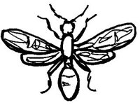 ANML0327.jpg
