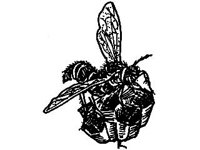 ANML0325.jpg