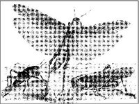 ANML0324.jpg