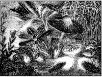 ANML0315.jpg