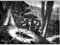 ANML0313.jpg