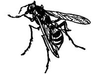 ANML0310.jpg