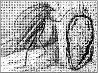 ANML0307.jpg