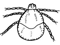 ANML0306.jpg