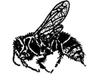 ANML0303.jpg