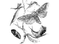 ANML0295.jpg