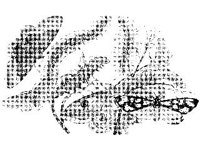 ANML0292.jpg