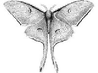 ANML0289.jpg