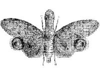 ANML0288.jpg