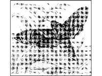 ANML0285.jpg