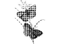 ANML0270.jpg