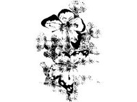 ANML0266.jpg