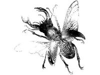 ANML0262.jpg