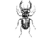 ANML0261.jpg