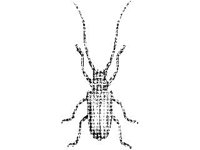 ANML0259.jpg