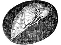 ANML0256.jpg