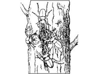 ANML0249.jpg