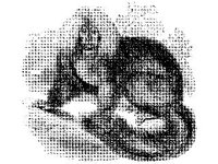 ANML0600.jpg