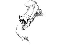 ANML0599.jpg