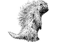 ANML0596.jpg