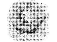 ANML0577.jpg
